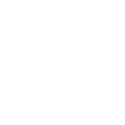 Logo TFC wit_250